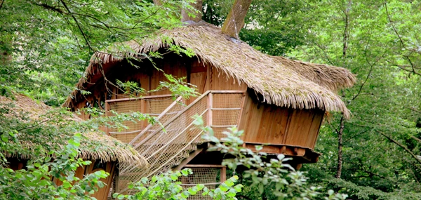 Cabanes dans les arbres